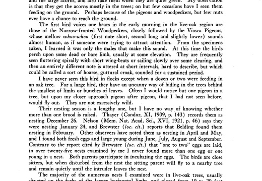 Viosca Pigeon Page 2 (896 visits) Viosca Pigeon Page 2